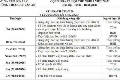 KẾ HOẠCH CHUYÊN MÔN TUẦN 20(Từ ngày 26/01/2026- 01/02/2026)